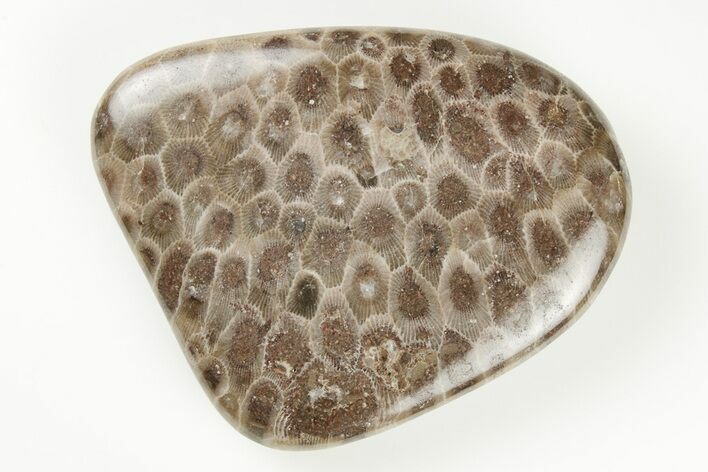 Polished Petoskey Stone (Fossil Coral) - Michigan #197408